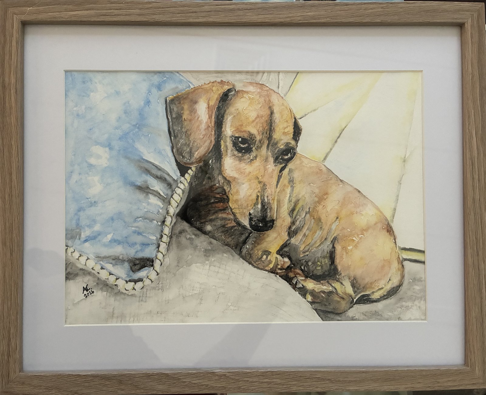 Watercolour portrait of a dachshund resting on cushions