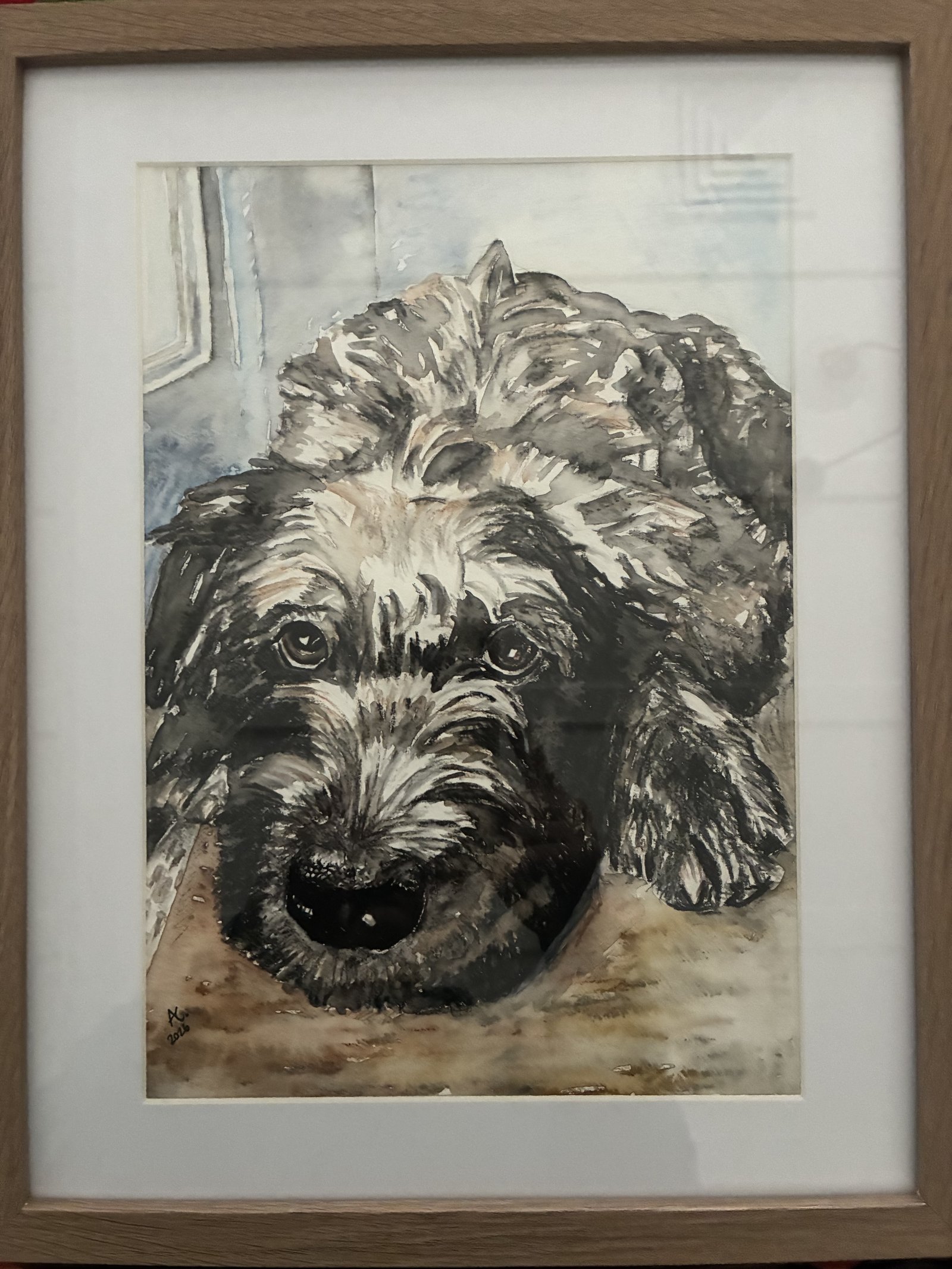 Watercolour portrait of a shaggy black and grey dog resting on the floor